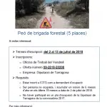 Més informació sobre l'article Obert el termini d’inscripció per a la contractació de 5 peons per la brigada forestal