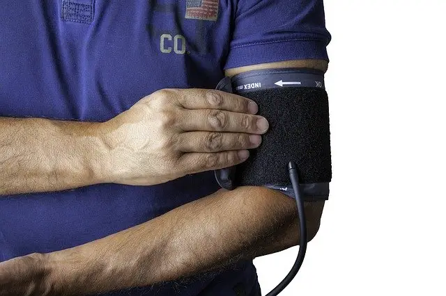 Actualment esteu veient Borses de treball SOC emergència COVID 19