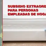 Més informació sobre l'article Obert el termini per sol·licitar el subsidi Extraordinari per persones treballadores de la llar.
