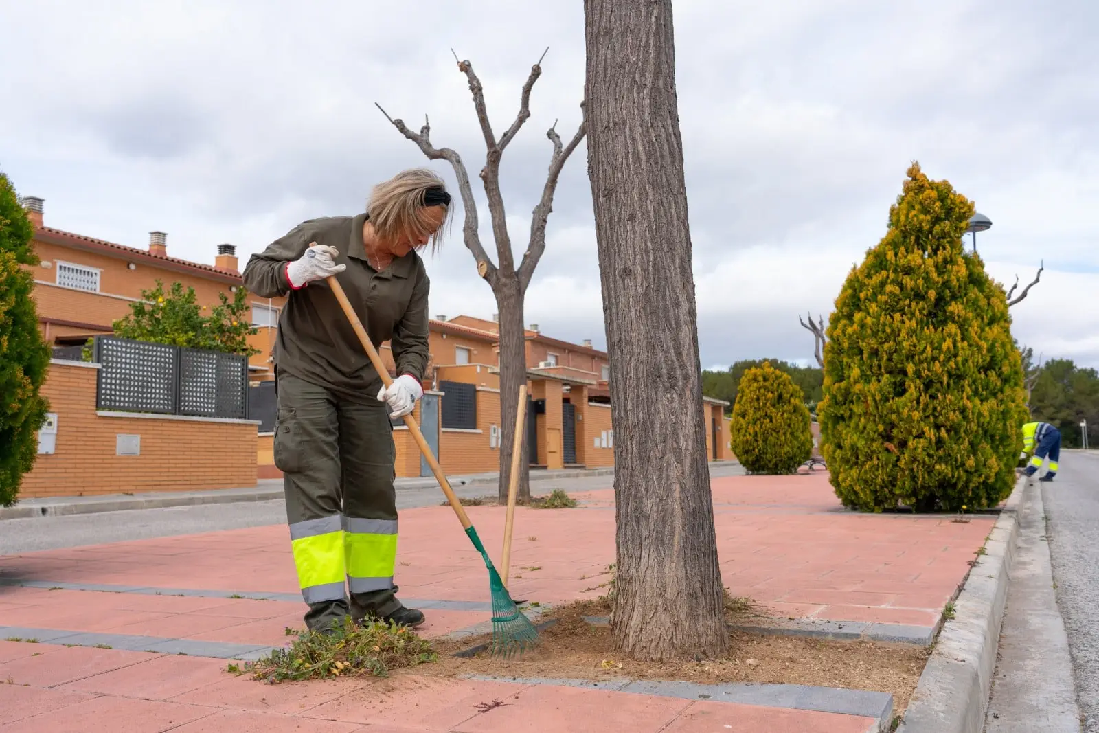 Actualment esteu veient Finalitzen 3 de les 6 contractacions del Programa TREFO