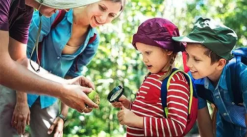 Imatgen de Vols començar l'any formant-te? noves formacions de certificat de professionalitat 2