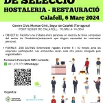 Més informació sobre l'article 